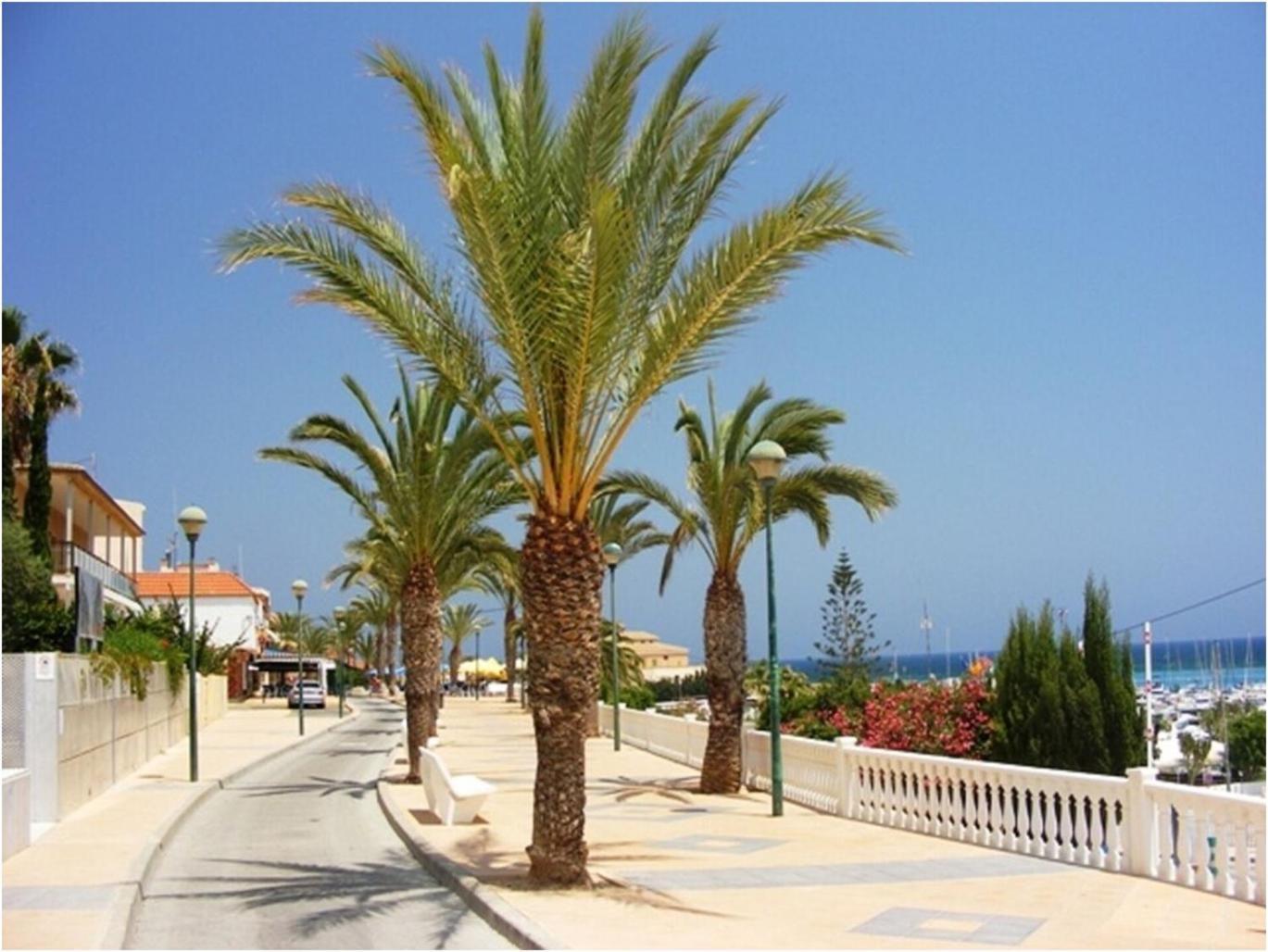 Torre De La Horadada - Modern And Comfortable 2 Bedroom Apartment Close To The Beach Torre de la Horadada ภายนอก รูปภาพ